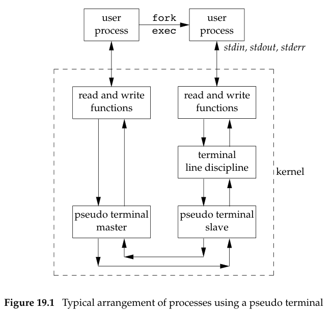 Typical arrangement of processes using a pseudo terminal