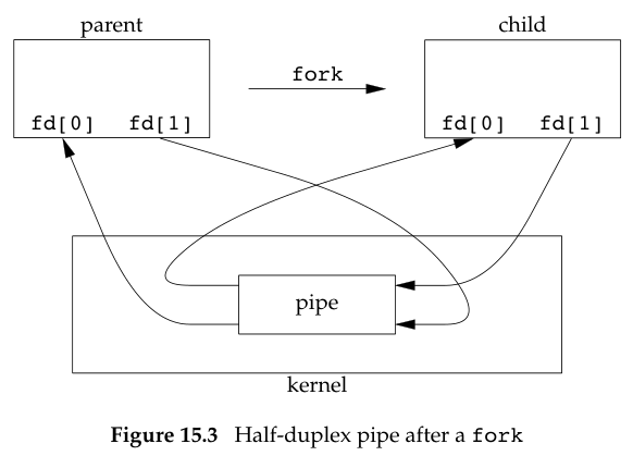 Half-duplex pipe after a fork