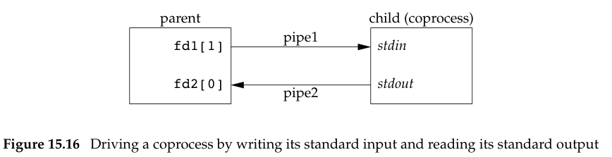 Driving a coprocess by writing its standard input and reading its standard output